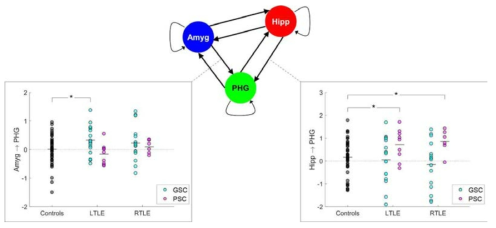 뇌전증 발작의 조절 상태에 따라 구분한 뇌전증 환자(TLEGSC 및 TLEPSC)와 건강한 피험자(controls) 사이 인과관계 연결성 강도 비교