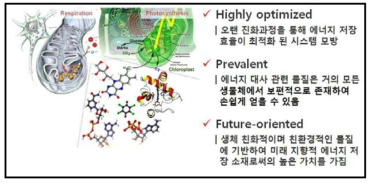 생체 소재의 리튬 이차전지 전극 소재로서의 장점