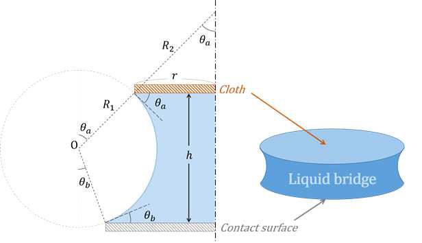 젖은 섬유다발의 접착력 생성 원인인 Liquid Bridge 모델