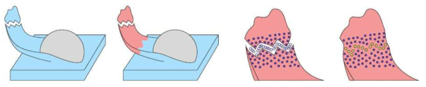 알고리즘 개요 : (a) 유체 시뮬레이션 결과 (b) 얇은 막 부분 감지 및 추출 (c) 후보군 입자 탐색 (d) 입자 삽입