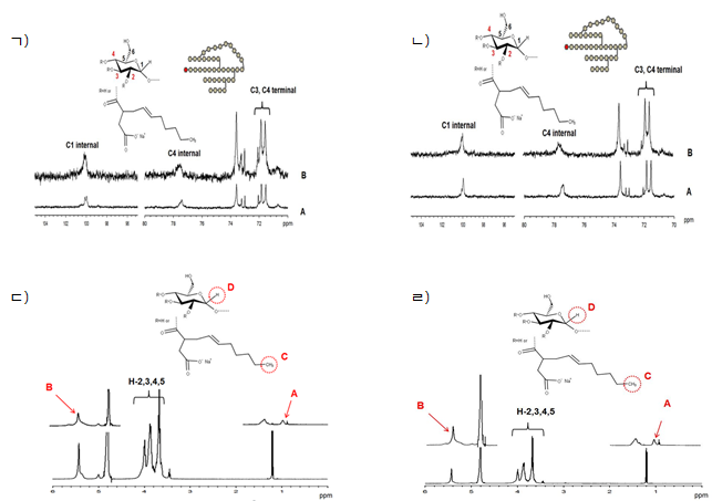 13C NMRspectra 결과 ㄱ) VvBE-CP(A), OSA-VvBE-CP(B); ㄴ) EBE-CP(A), OSA-EBE-CP(B). 1H NMR spectra 결과 ㄷ) VvBE-CP (A), OSA-VvBE-CP (B), OSA-VvBE-CP 의 옥테닐 숙시네이트 말단의 메틸 그룹 (C), OSA-VvBE-CP 내부 표준 단위로서의 비수화 포도당 단위 (D); ㄹ) EBE-CP (A), OSA-EBE-CP (B), OSA-EBE-CP 의 옥테닐 숙시네이트 말단의 메틸 그룹 (C), OSA-EBE-CP 내부 표준 단위로서의 비수화 포도당 단위 (D)