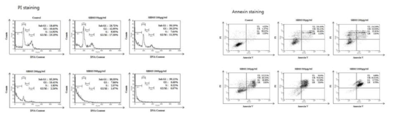 아래 그림에서 보는 바와 마찬가지로 SH003은 adriamycin에 내성을 보이는 MCF-7/ADR 세포의 apoptosis를 일으킴