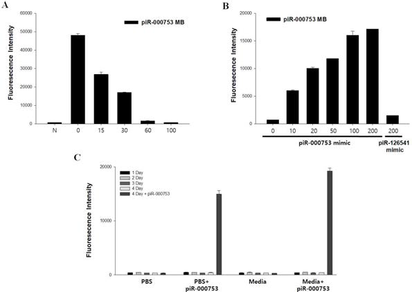 piR-000753를 억제 할 수 있고 분자 진단 가능한 molecular beacon을 제작