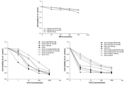 Non-coding small RNA-MB와 항암 화학 치료제를 이용한 세포 사멸 정도 확인