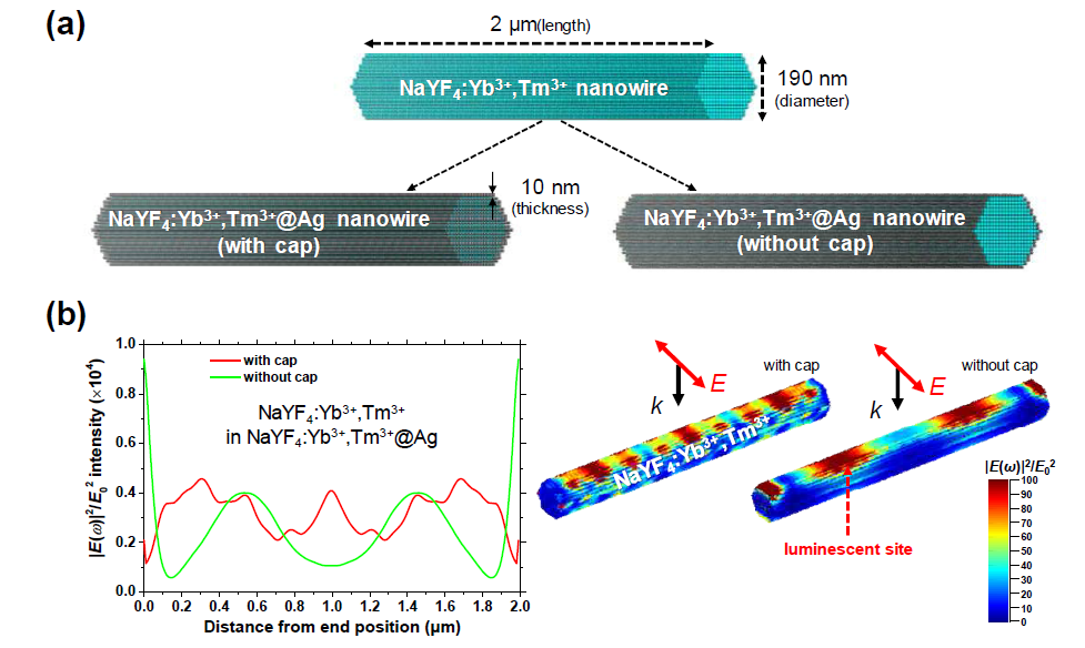 (a) 은 나노 쉘이 코팅된 상향변환 나노와이어 구조 모델. (b) 양 끝단 유무에 따른 상향 변환 나노와이어에 유도된 전기장 세기 분포도 결과