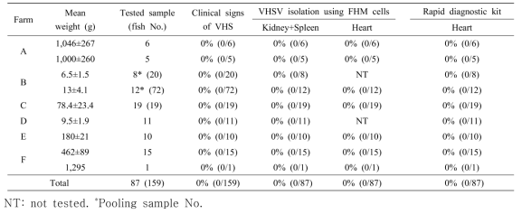 VHSV 미감염 넙치 (정상 넙치)에 대한 신속 진단 키트 결과