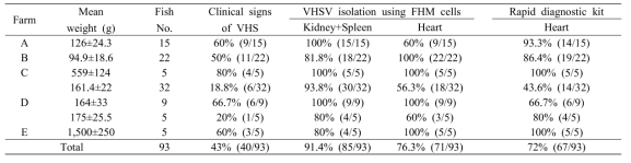 VHSV 감염 넙치에 대한 신속 진단 키트 결과