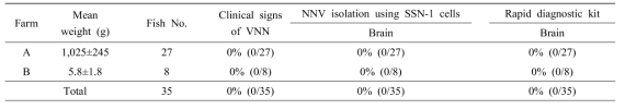 NNV 미감염 능성어 (정상 능성어)에 대한 신속 진단 키트 결과
