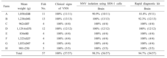 NNV 감염 능성어에 대한 신속 진단 키트 결과