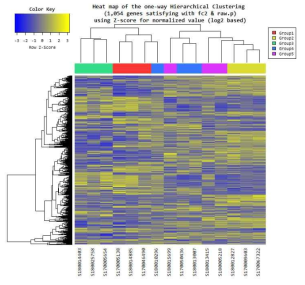 Hierarchical clustering (group1-‘혼합형’, group2-기저형, group3-내강형, group4,5-미분류1,2)