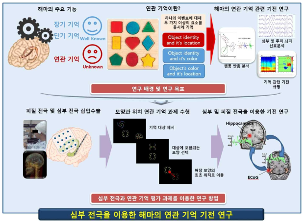 연구 개요