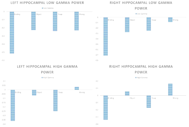 해마에서 측정한 low-gamma 및 high-gamma 대역의 파워