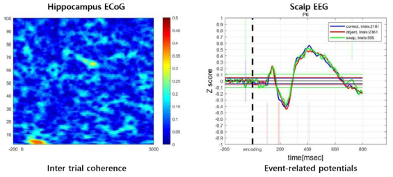 해마에서 측정한 심부뇌파의 Inter trial coherence와 두피뇌파의 사건유발전위