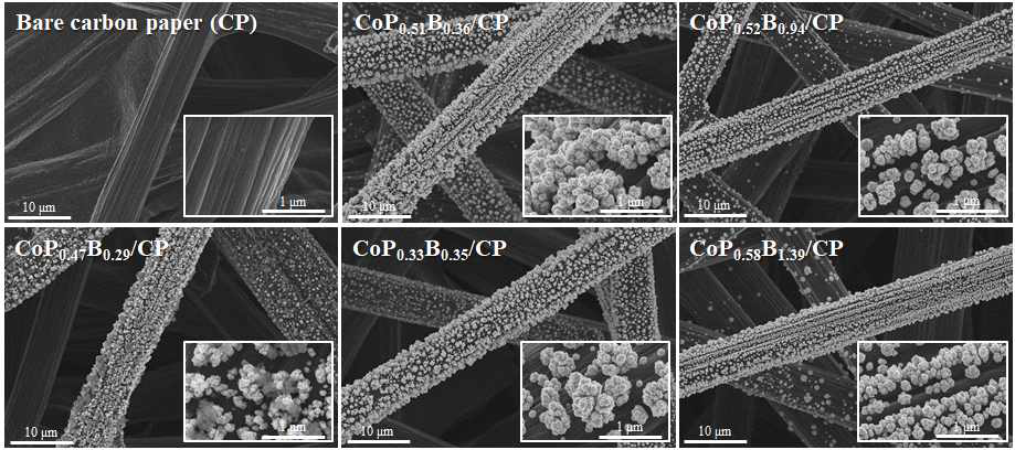 탄소지 표면에 형성된 Co-P-B 삼원계 촉매의 SEM 이미지