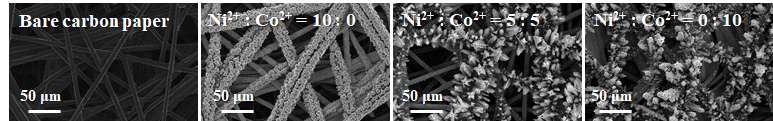 탄소지 표면에 형성된 NiCo oxysulfide촉매의 SEM 이미지