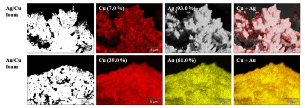 Cu foam 표면에 형성된 Ag와 Au에 대한 EDS mapping 단면 이미지
