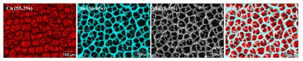 Ag/In/Cu foam에 대한 EDS mapping 이미지