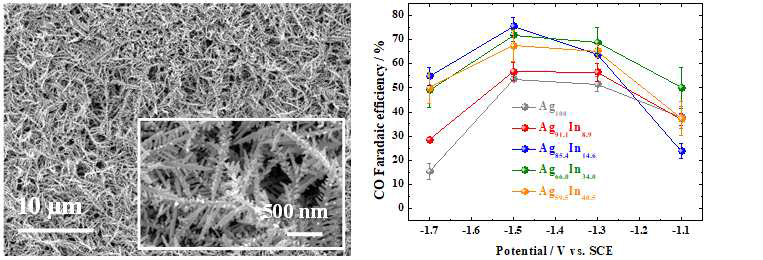 Ag85.4In14.6 촉매의 FESEM 이미지