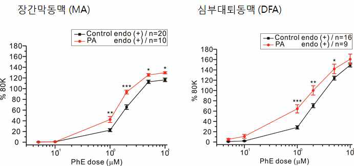 장간막 동맥(MA)와 심부대퇴동맥(DFA)에서 Palmitic acid가 phenylephrine으로 유도된 혈관 수축장력에 미치는 영향