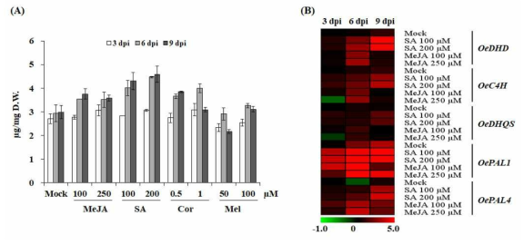 Elicitor 처리에 따른 땃두릅 polyphenolic compound 함량 변화(A) 및 관련 유전자 발현 변화 분석(B)