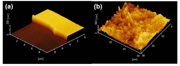 원자현미경(atomic force microscopy)을 이용하여 측정한 표면형상 (a) 크롬박막 (b) 탄소나노튜브 박막