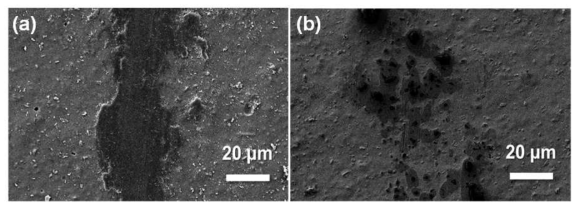 마찰시험을 마치고 난 뒤 AAO 시편 표면의 전자현미경 사진 (a) 고체윤활제를 적용하지 않은 AAO 표면의 마모흔적 (b) 금 박막을 증착한 AAO 표면의 마모흔적