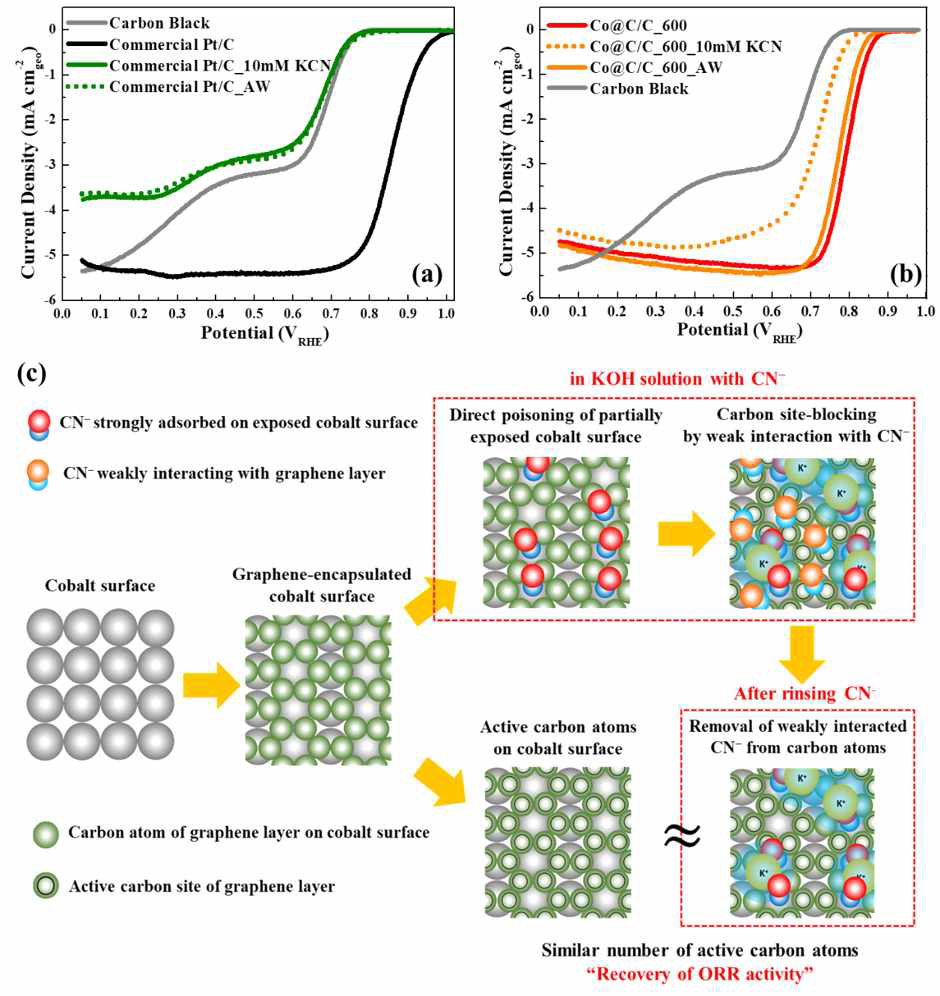 (a) 백금 및 (b) 코발트 나노 입자 표면에 코팅된 나노 그래핀 촉매의 CN- 흡착 및 세척 시 산소 환원 반응 활성 비교 및 (c) 그에 따른 반응 메커니즘