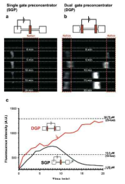 단일 게이트 및 이중 게이트에 따른 디바이스 특성 평가 (Lab Chip, 2017, 17, 2451-2458)