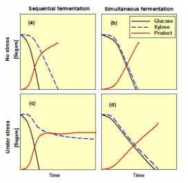 C6 sugar와 C5 sugar의 순차적 발효(a,c)와 동시발효(b,d), Trends Biotech, 2012