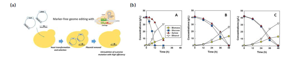 Cas9 유전체 편집기술 모식도(a); BT News, 2015; Metabolic Engineering, 2016 A-모균주, B-적응진화균주 및 C-reversed engineered 균주의 형질 비교(b); Scientific reports, 2018