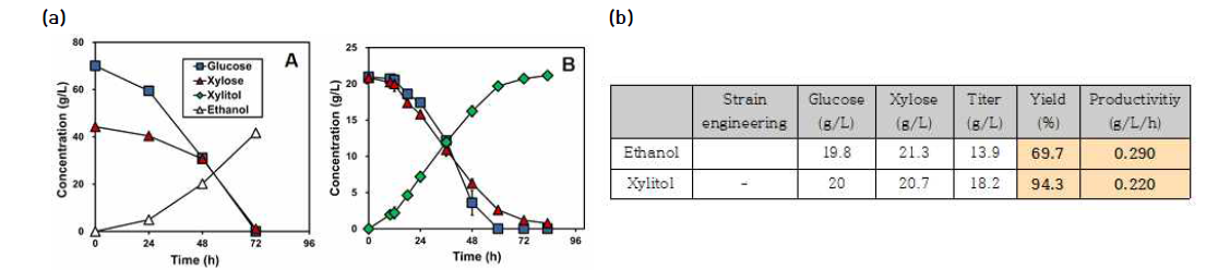 동시발효 균주를 이용한 A-ethanol 및 B-xylitol의 생산(a), 생산성(productivity) 및 수율(yield) 값(b)