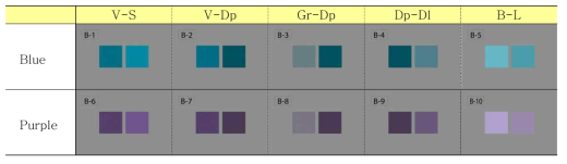단파장계열 색(B, P)의 유사톤 구별 능력 측정 도구