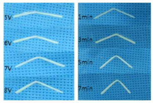 전압의 세기와 시간의 증가에 따른 연골성형 정도의 증가