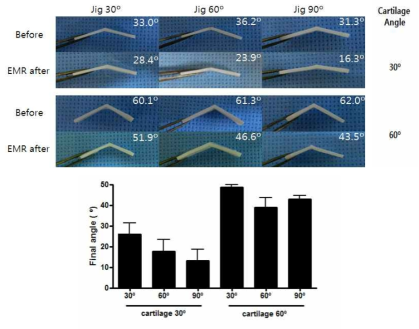 연골과 고정틀 각도에 따른 연골 각의 변화