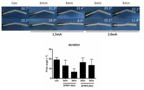 전류의 세기와 자극 시간에 따른 연골 각의 변화