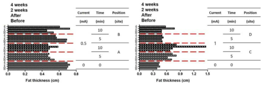 ECT 적용 전후 그리고 2, 4주 후 초음파를 이용한 지방 두께 변화 측정 결과