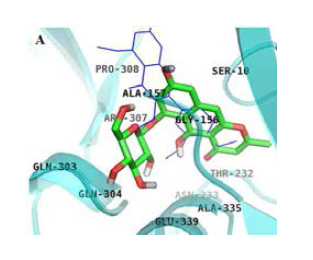 Inhibition mode of 4 for the BACE1 allosteric site with PMF (blue stick) (A)