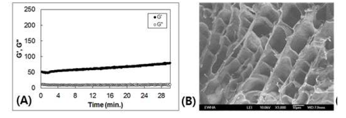 PPP gel의 물성 및 형태학적 평가. 유동학적(rheological) 분석에서 G’ 값이 G’‘값 보다 높아 gel 성향을 나타냄. Scanning electron microscope (SEM)에서 규칙적 pore를 가진 미세구조가 있어 세포의 생착에 용이할 것임