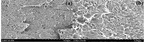 SEM (a) and (b) images of PE/MB-mGO 3wt% nanocomposites