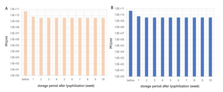 Stability test of bacteriophage high titer after lyophilization with pour plate assay. (A) PFU/ml of lyophilized ФCS01 sample. (B) PFU/ml of lyophilized ФBC01 sample