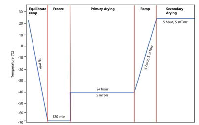 Overview of consecutive steps of the freeze-drying process