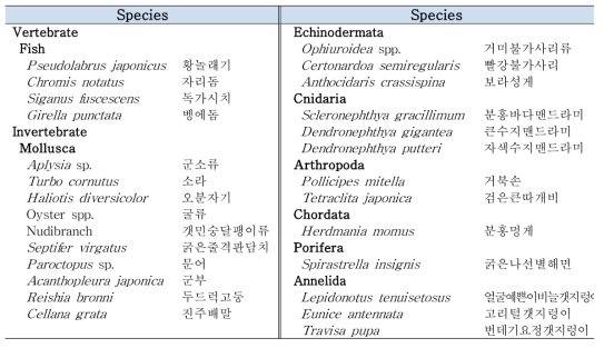 대형갈조류 감태 기반 생태계에서 채집된 저서 동물 목록 및 먹이망 분석에 사용된 목록
