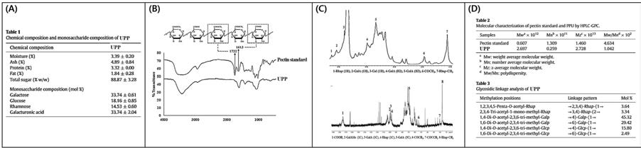 Chemical composition (A) and chemical structure of UPP analyzed by FT-IR (B), 1D-NMR (C), HPSEC, and methylataion analyses (D)