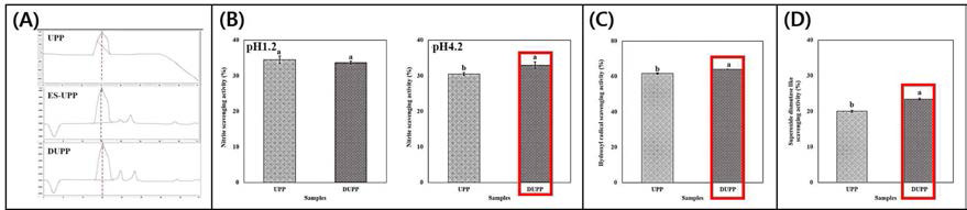 Molecular weight distribution of UPP, ES-UPP, and DUPP (A). Nitrite scavenging (B), hydroxyl radical scavenging (C), and superoxide dismutase like scavenging activities (D) of UPP and DUPP