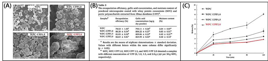 FE-SEM photographs of microcapsules (A). The encapsulation efficiency, gallic acid concentration, and moisture content of microcapsules (B). Effect of coating materials on released gallic acid from microcapsules in gastrointestinal conditions (pH1.2) (C)