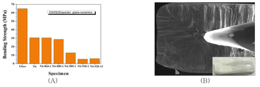 (A) 3-point bending strength with various heating schedule for CM2S glass, (B) Micro structures magnified 100 times observed by SEM for N6-920-12