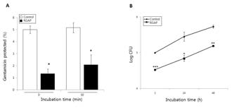 Effect of RGAP on invasion and intracellular growth of B. abortus