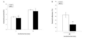 Effect of RGO on the invasion and adherence of B. abortus