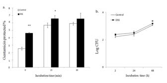 Effect of DSS on the internalization and intracellular replication of B. abortus