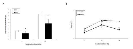 Effect of nocodazole on B. abortus uptake and intracellular growth in macrophages